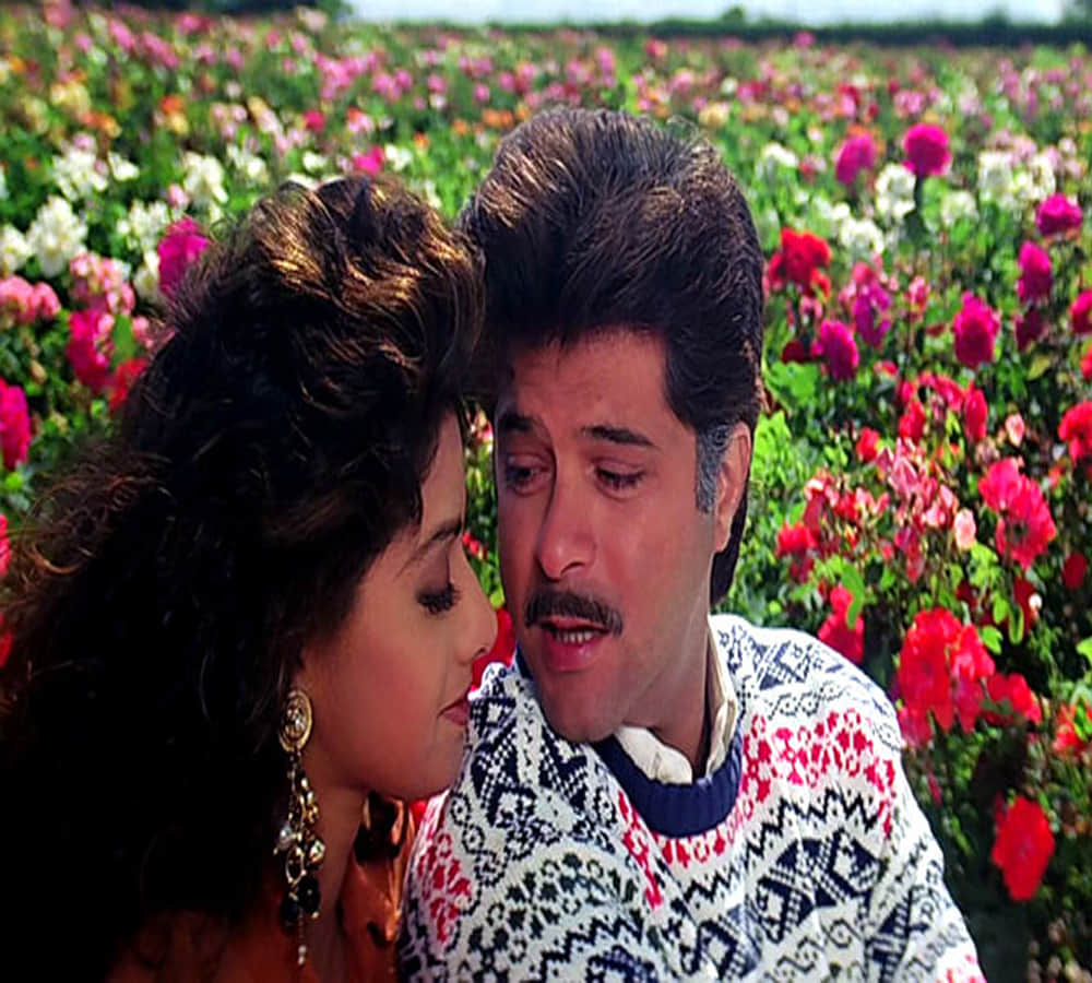 anil kapoor two superhit films reject for her stardom