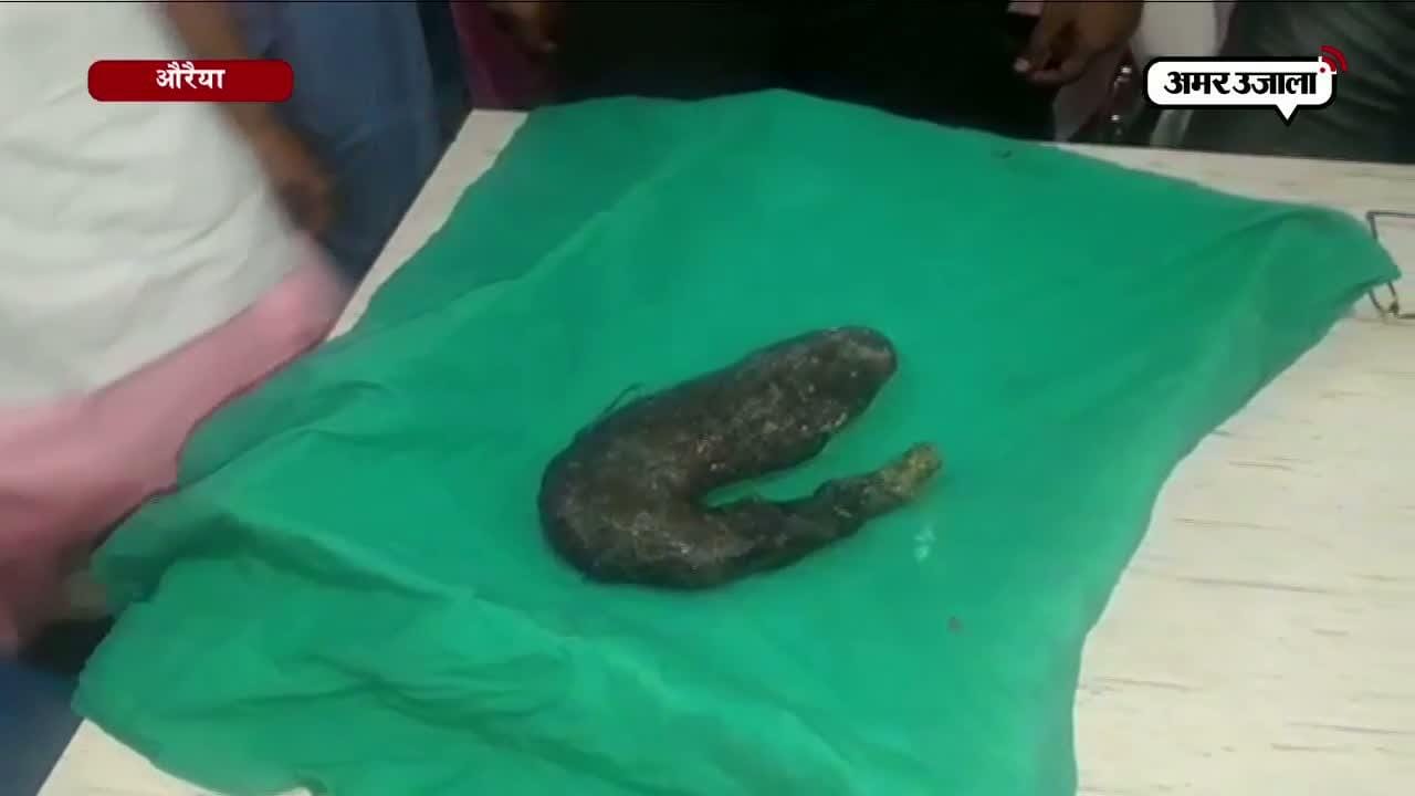 औरेया