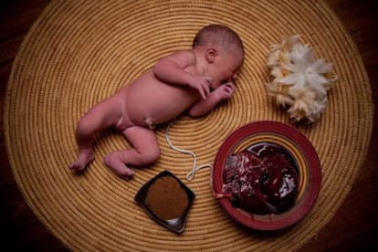 lotus birth in America