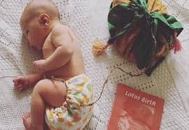lotus birth in America