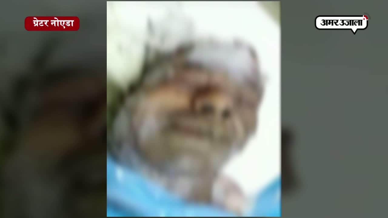 ग्रेटर नोएडा