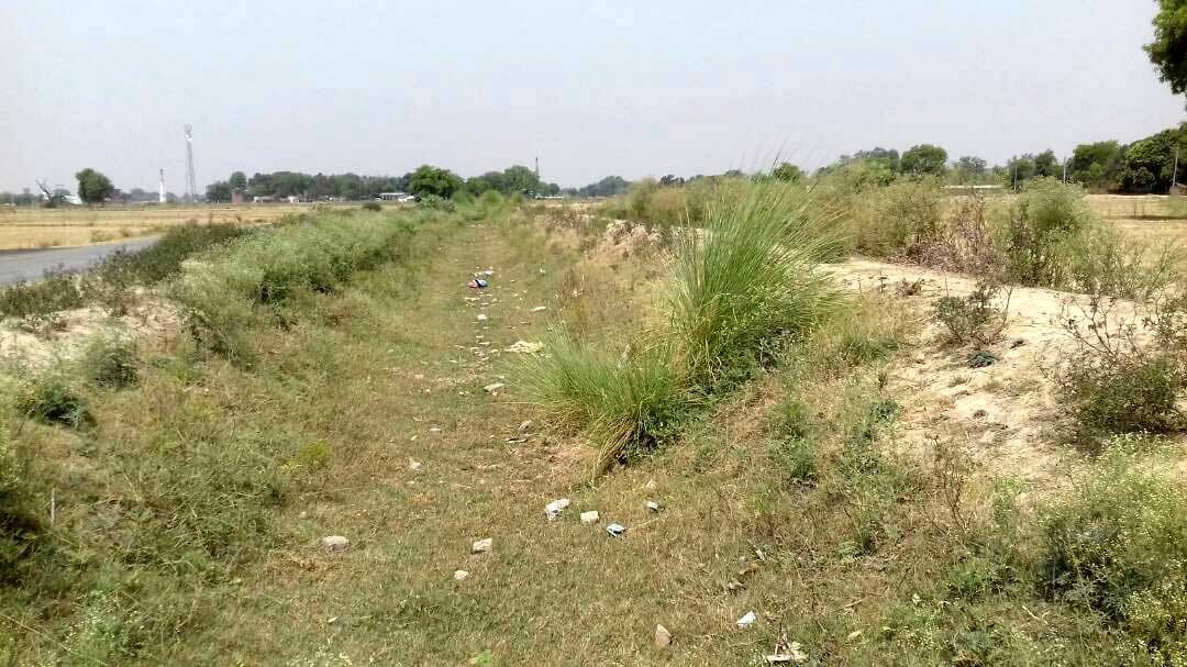 No water in the canal canal on committees