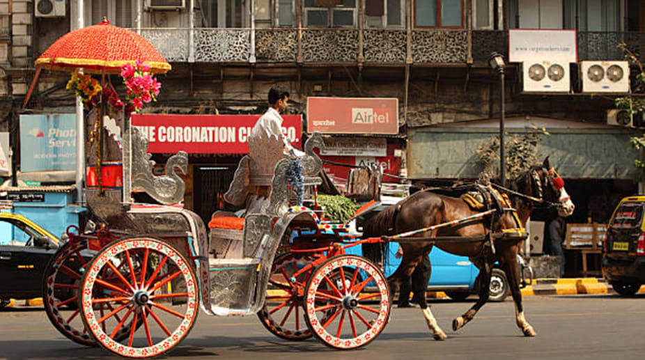 Mumbai’s Victorias trot into pages of history