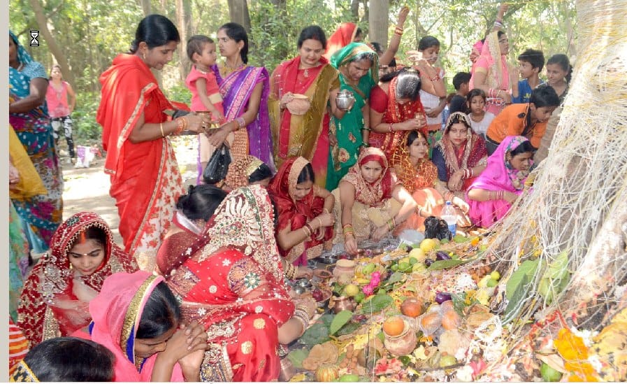 Suhaginas Vatsasitri Puja of Akhand Good Luck
