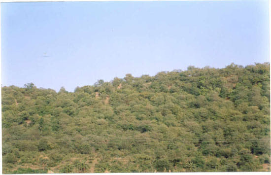 newly recruit woman forest guard parade organize at ajmer