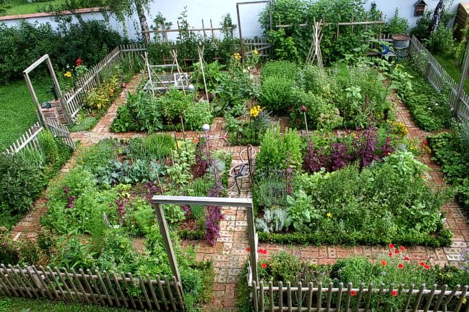 Kitchen gardens will be built in schools