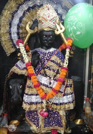 Pompously celebrated Shani's birth anniversary
