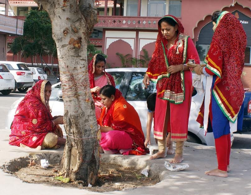 Woman worshiping the banyan tree