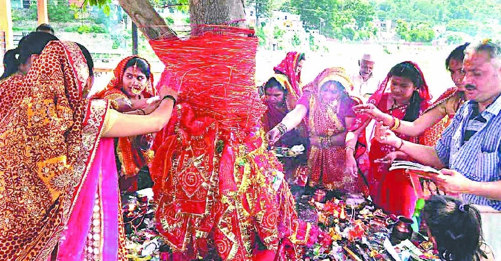 Women worshiped the Vat tree
