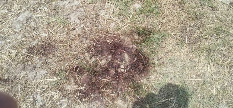 yamuna expressway gang rape: know full story of horrific night in photos 