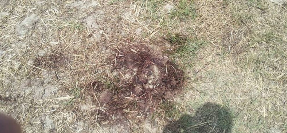 yamuna expressway gang rape: know full story of horrific night in photos 