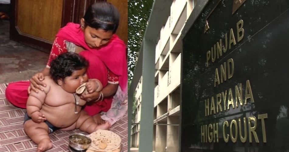 chahat over weight highcourt questioned to pgi