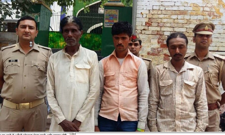 Hapur gang arrested three thieves