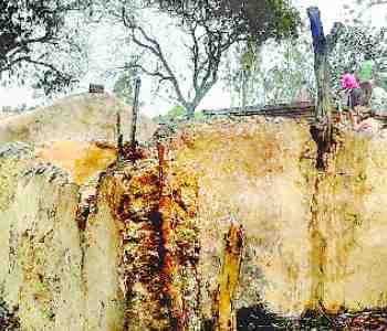 10 houses burn to the fire