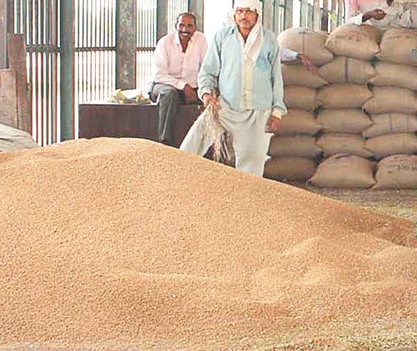 GST: Deposits made for inflation, wheat sold for fear of cheap