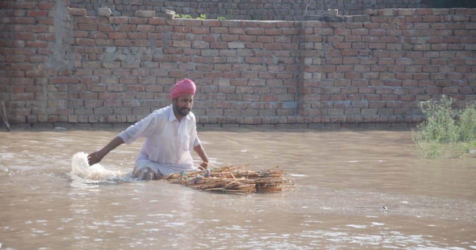flood in bathinda due to canal breaking
