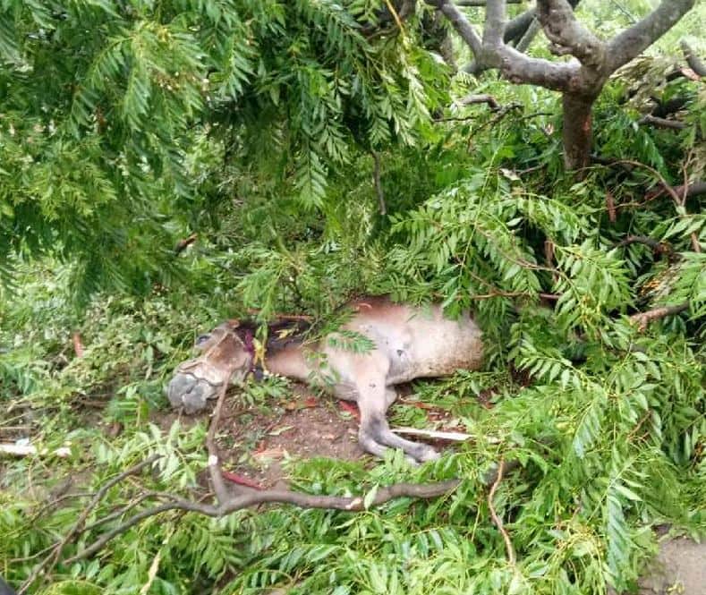 photos of rain and hailstorm like disaster in uttarakhand