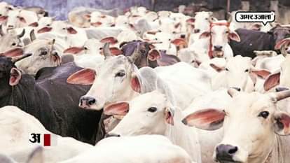 Union Government bans sale of cattle in animal market for slaughter purpose