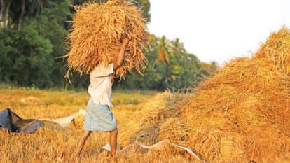 yogi adityanath says banks should not issue notice to farmers.
