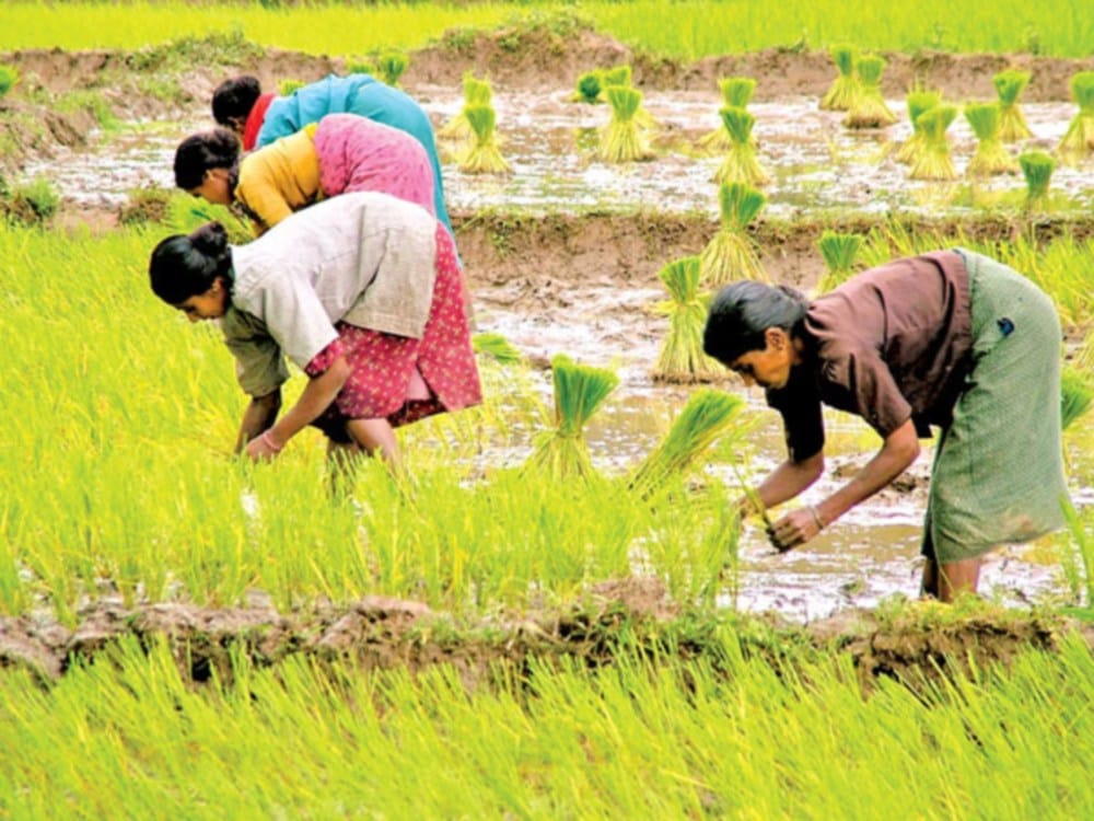 gst bill effect on farmers and farming things