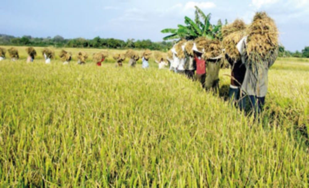 gst bill effect on farmers and farming things