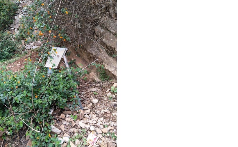 Handpumps covered with bushes