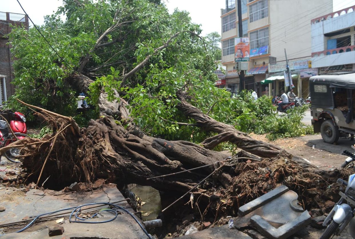 Hurricane catastrophe, old age death
