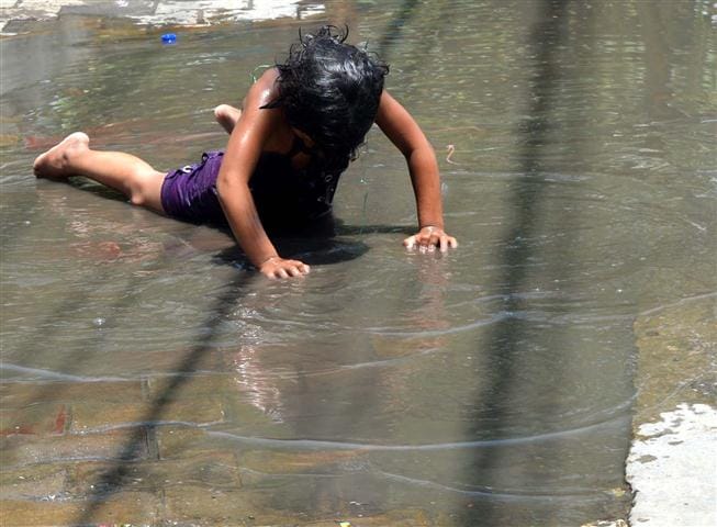  Mercury crosses 44 degrees, heat stroke to 20 people