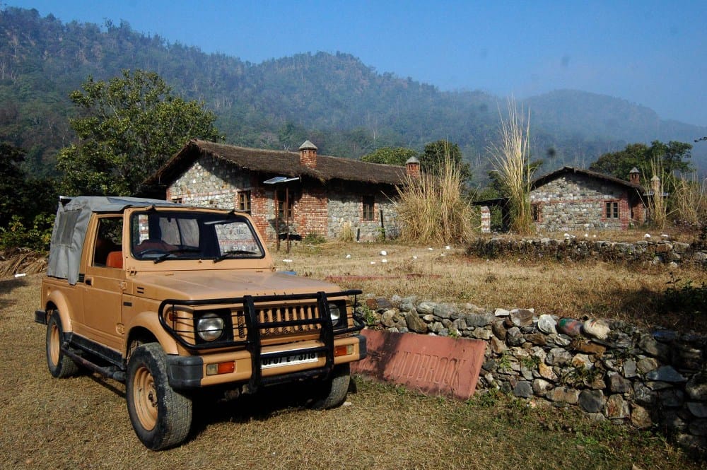 Exclusive: cameras in the jungle being stolen, 11 cameras disappeared in three years from Rajaji Park alone
