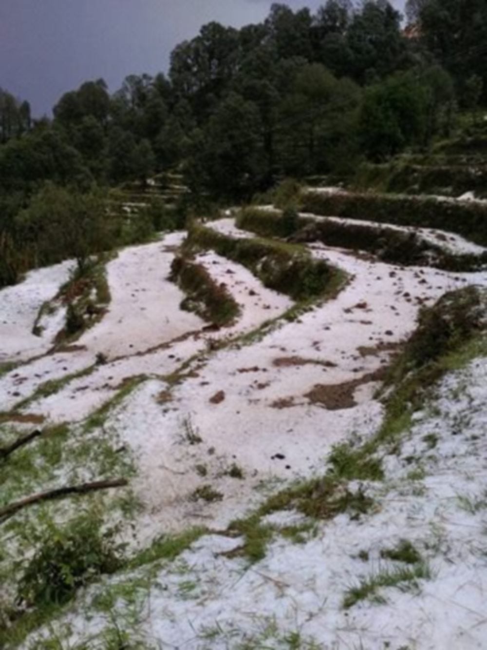 photos of very heavy snowfall in pithoragarh uttarakhand