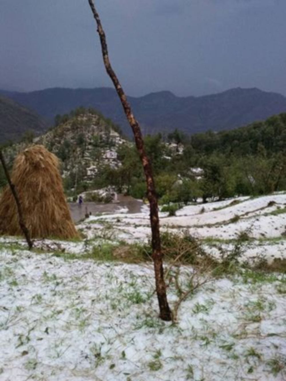photos of very heavy snowfall in pithoragarh uttarakhand