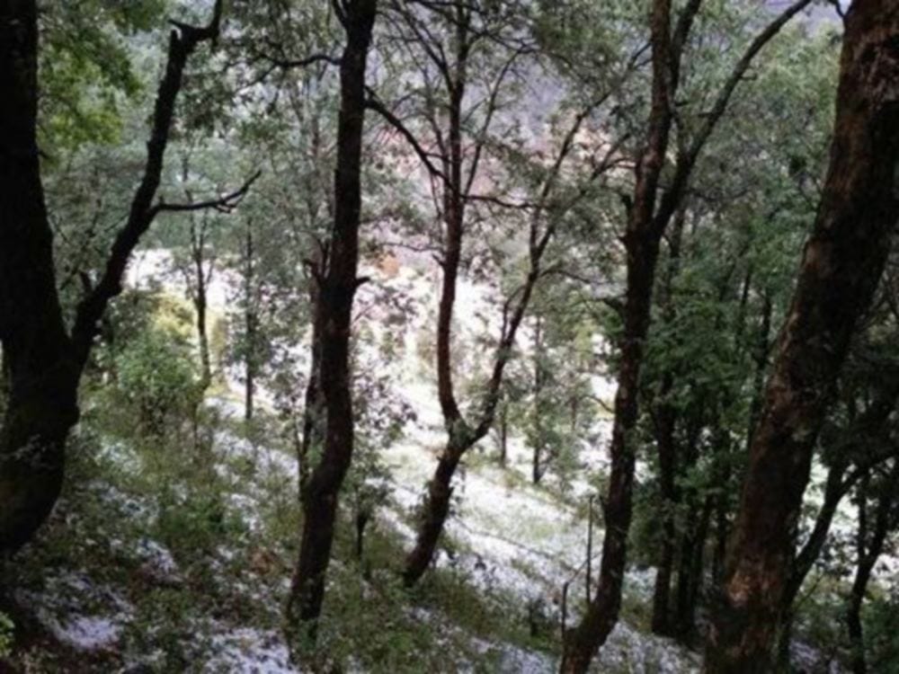 photos of very heavy snowfall in pithoragarh uttarakhand