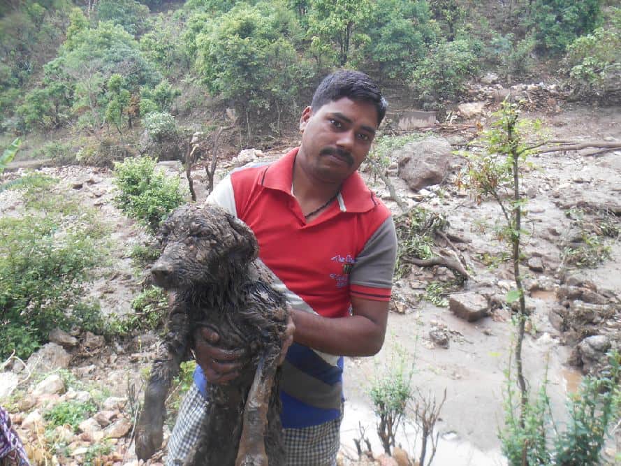 Dog struggle 19 hours under debris in almora