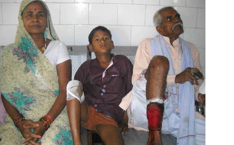 Dog bites nine devotees in Purnagiri area