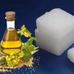camphor oil