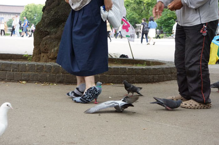 Japanese Woman Walking In Pigeon Shoes