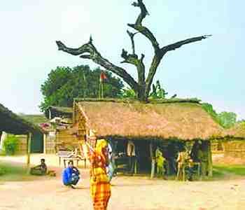 Five forest villages will become revenue village