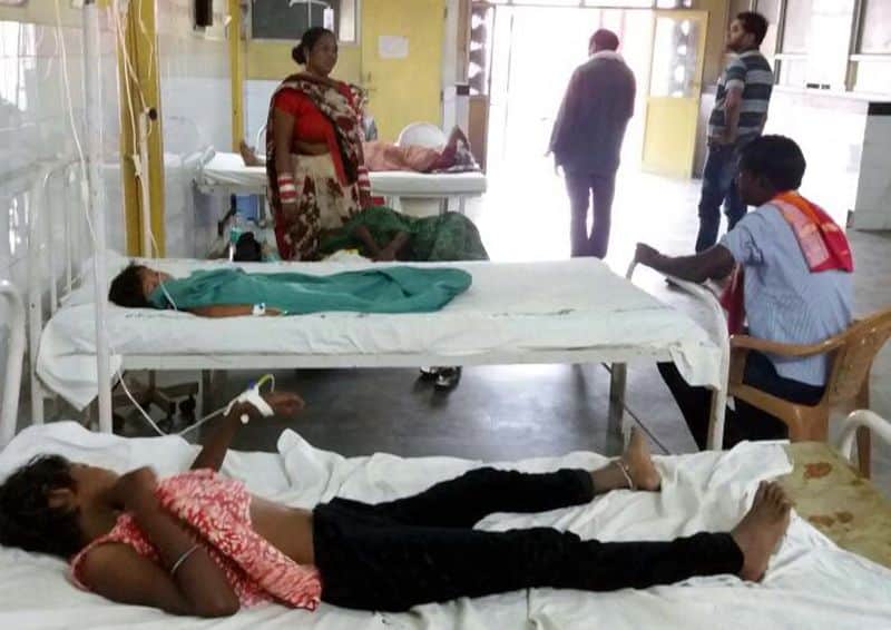 virus of dengue malaria other diseases bacteria spreading largely take these safety measure