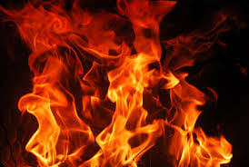 Kerosene blooms mother and son alive