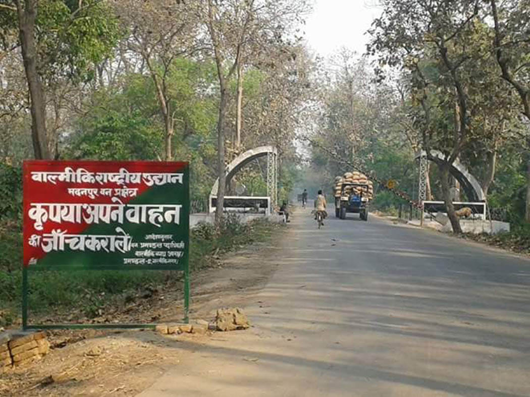 Initiative to connect both forests