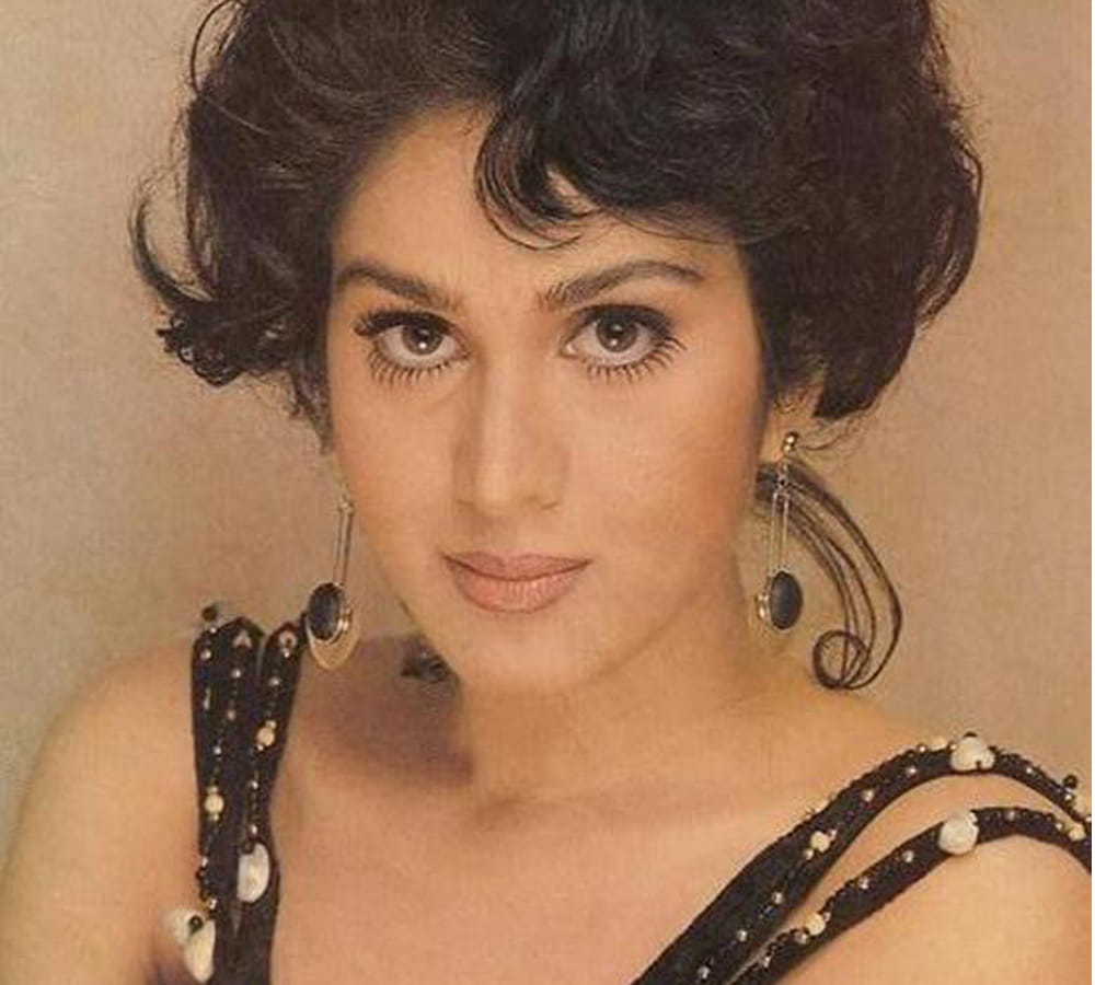 Meenakshi Seshadri disappeared from films, running Cherish Dance School in Dallas