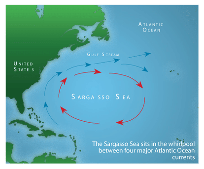 sargasso sea has no end line