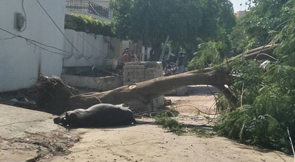 see pictures storm surge in kanpur