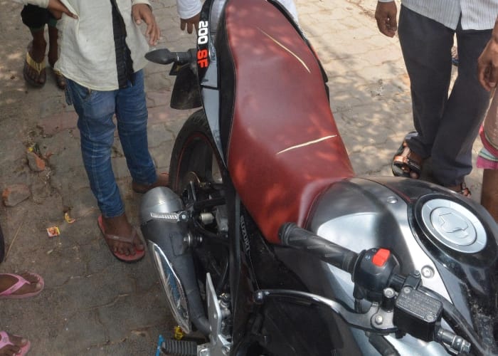  ruckus after hurting cows and dogs in lucknow