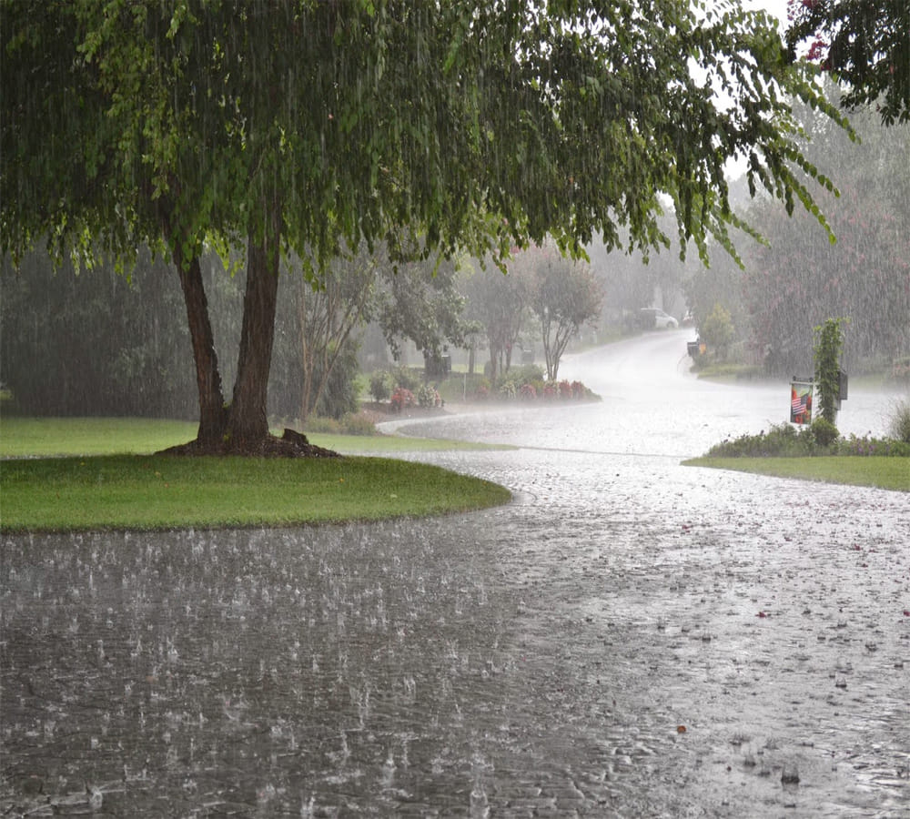 sun in rohini nakshatra and weather forecast