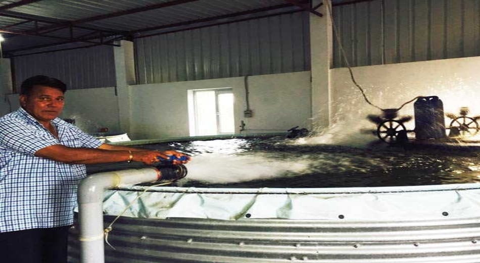 Succesfull Story of earning fish spinch