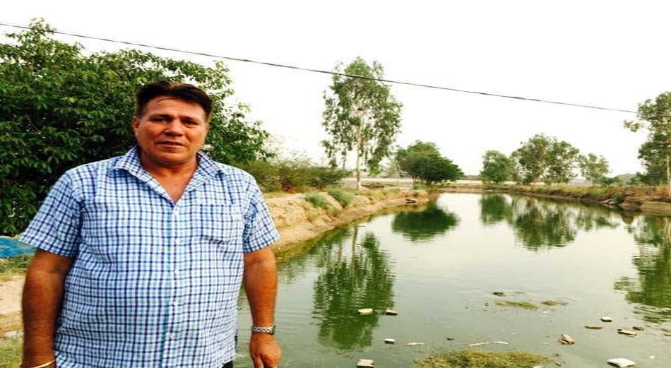 Succesfull Story of earning fish spinch