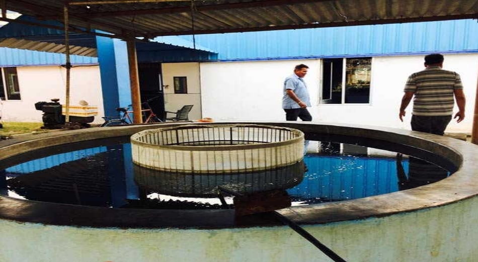Succesfull Story of earning fish spinch