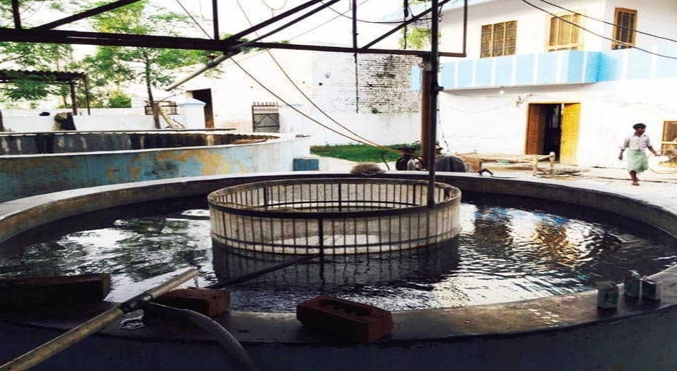 Succesfull Story of earning fish spinch