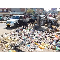 charkhi dadri,hindi news,waste storage
